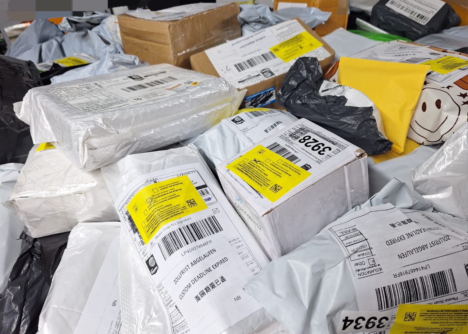 Secret Bundle Big